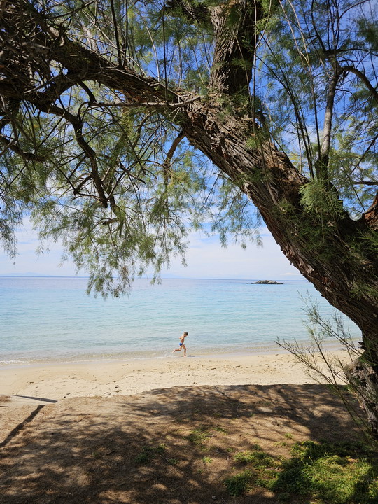  KalogriabeachSithonia 
